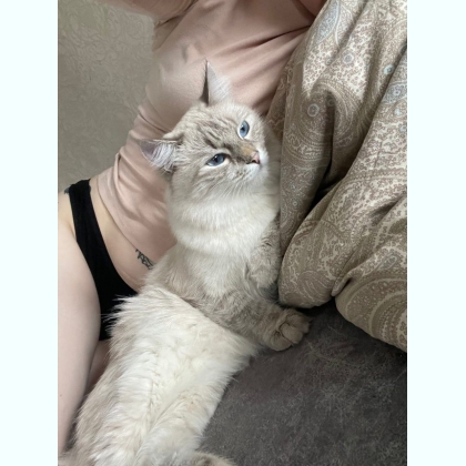 ����� p�c������ ���� ������� 